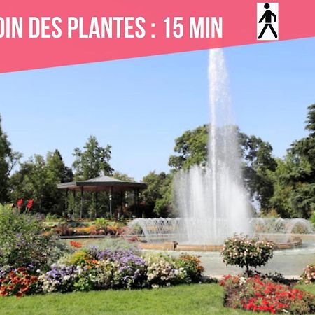 Appartamento Expat Renting - Entre Piment & Violette - Saint Michel Tolosa Esterno foto